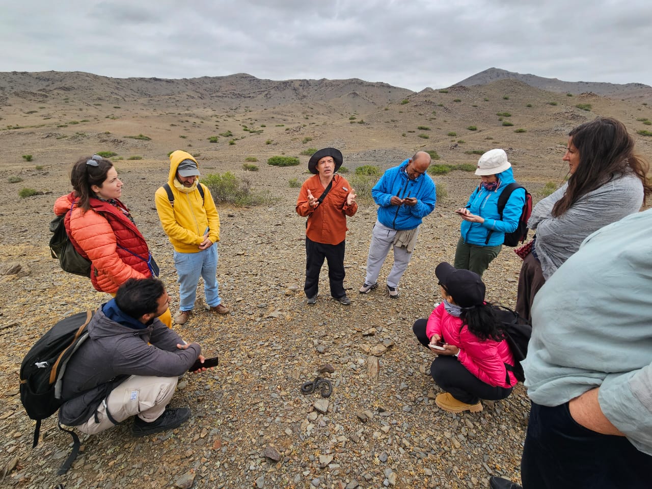 Snake Tracking Trip – 18th ISE Congress, Marrakech, Morocco