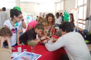 Educational Projects 2