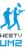 webTV icon